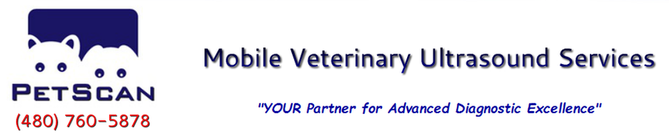 Pet Scan:  Mobile Veterinary Ultrasound Service